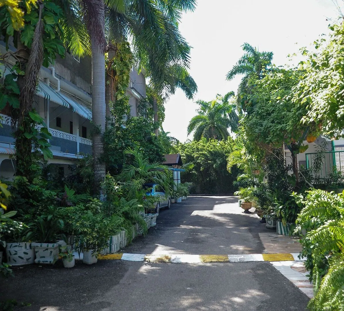 Glorianna Hotel مونتيغو باي